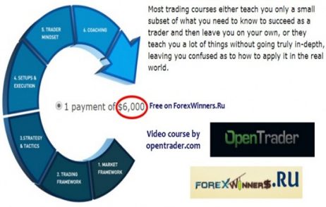 Open Trader – Professional Training Program
