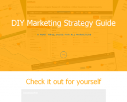 Annie Cushing – DIY Marketing Strategy Illustrated Guide – Annielytics 