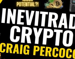 nevitrade Crypto Accelerator by Craig Percoco